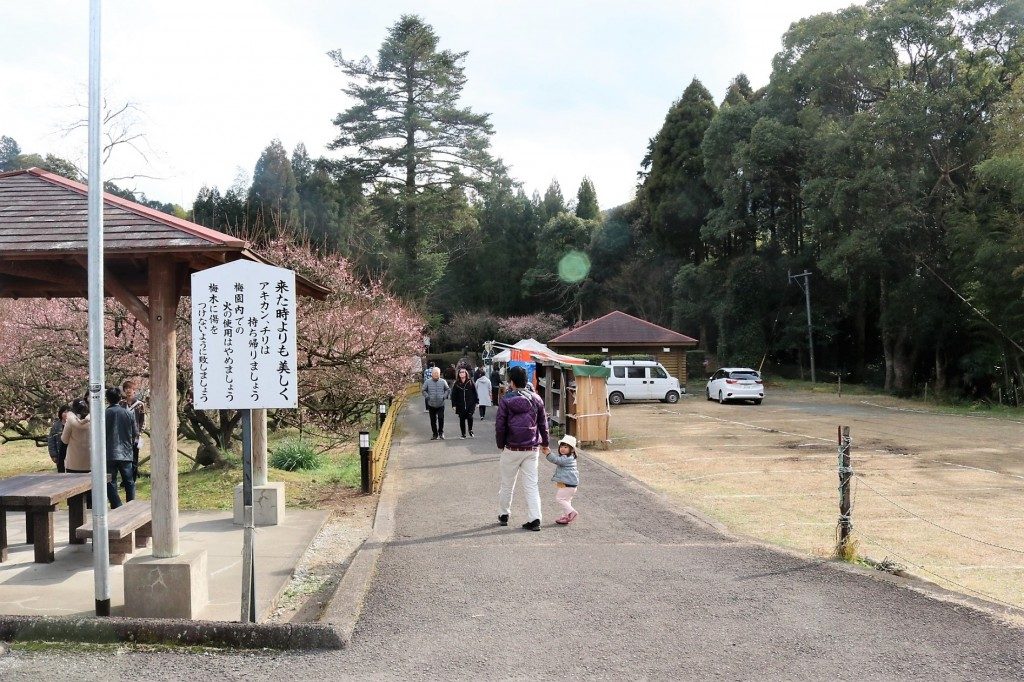 藤川天神の臥竜梅
