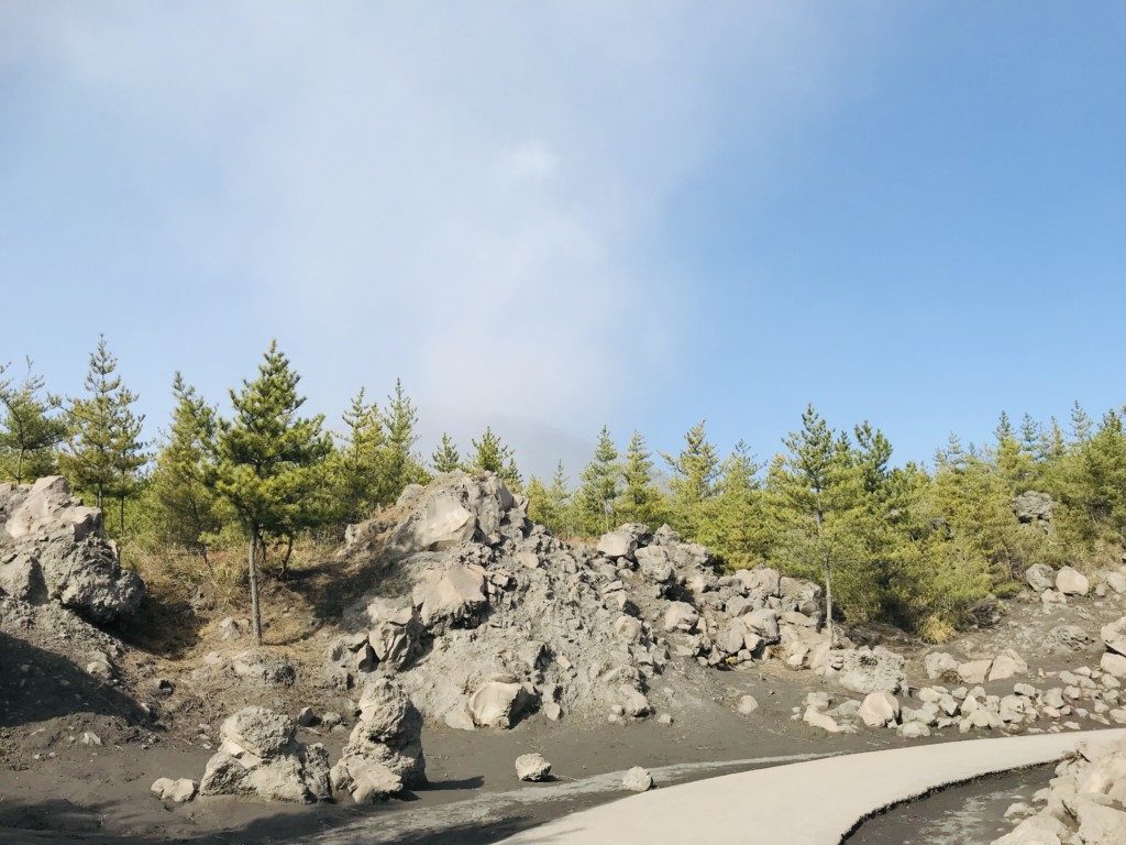 有村溶岩展望所の遊歩道