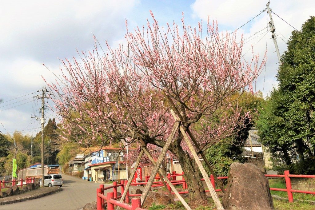 藤川天神