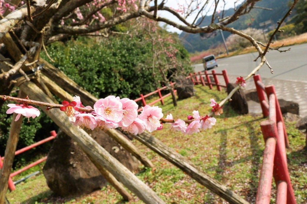 藤川天神