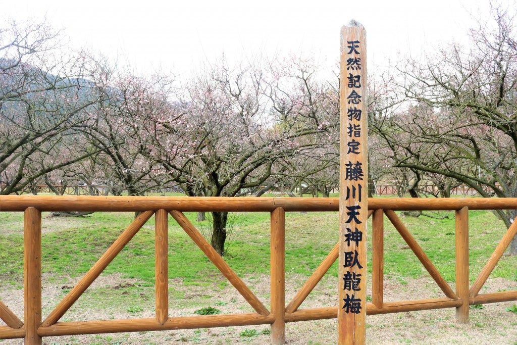 藤川天神