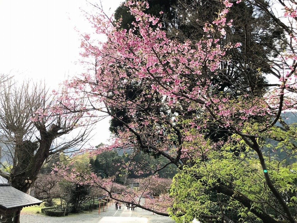 藤川天神
