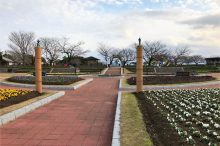 寺山いこいの広場