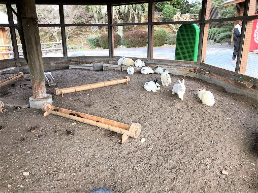 寺山いこいの広場