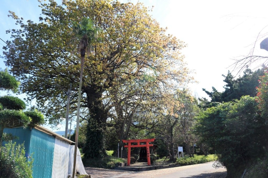 大元神社