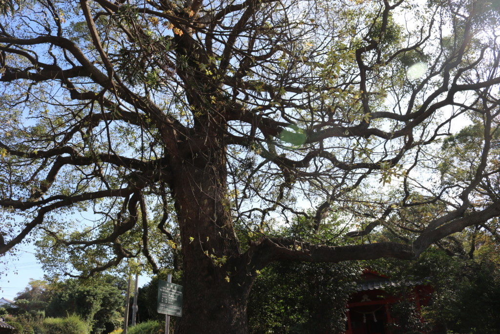 大元神社