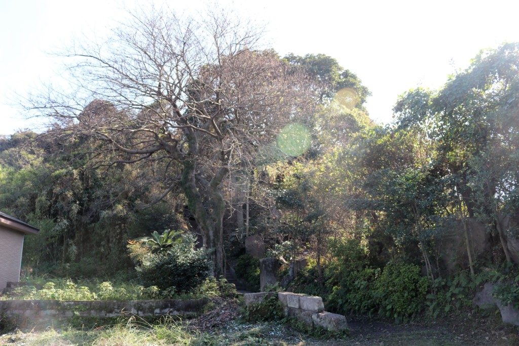豊受大山津見神社