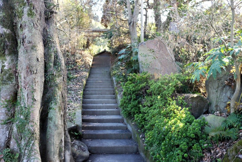 豊受大山津見神社