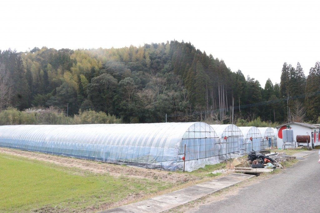 北之迫農園
