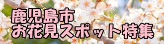 お花見スポット特集バナー