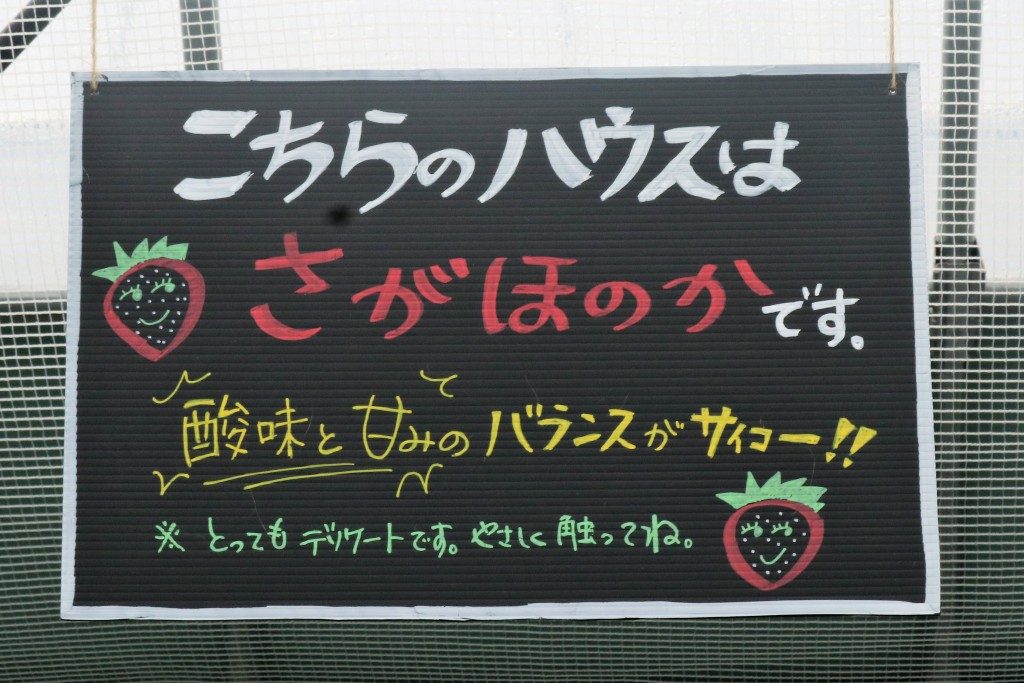 片平観光農園