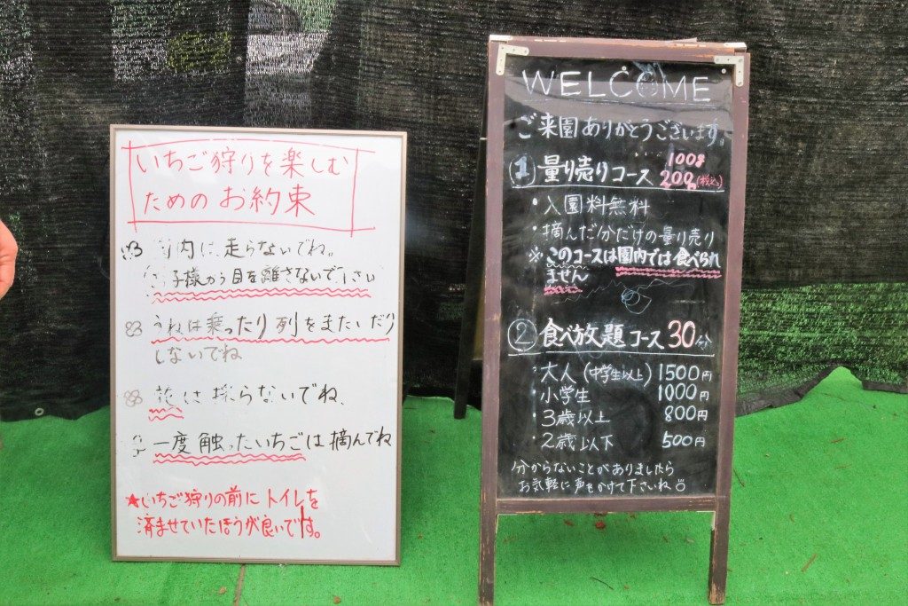 いちごハウス木場