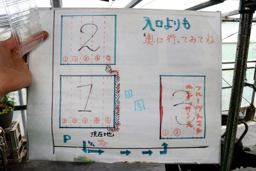 いちごハウス木場