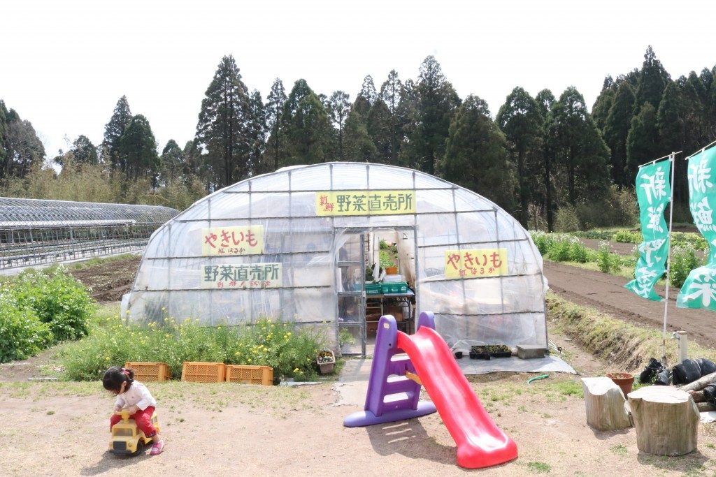 前田いちご園