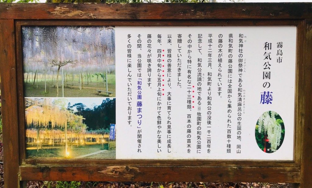 和気神社の藤まつり