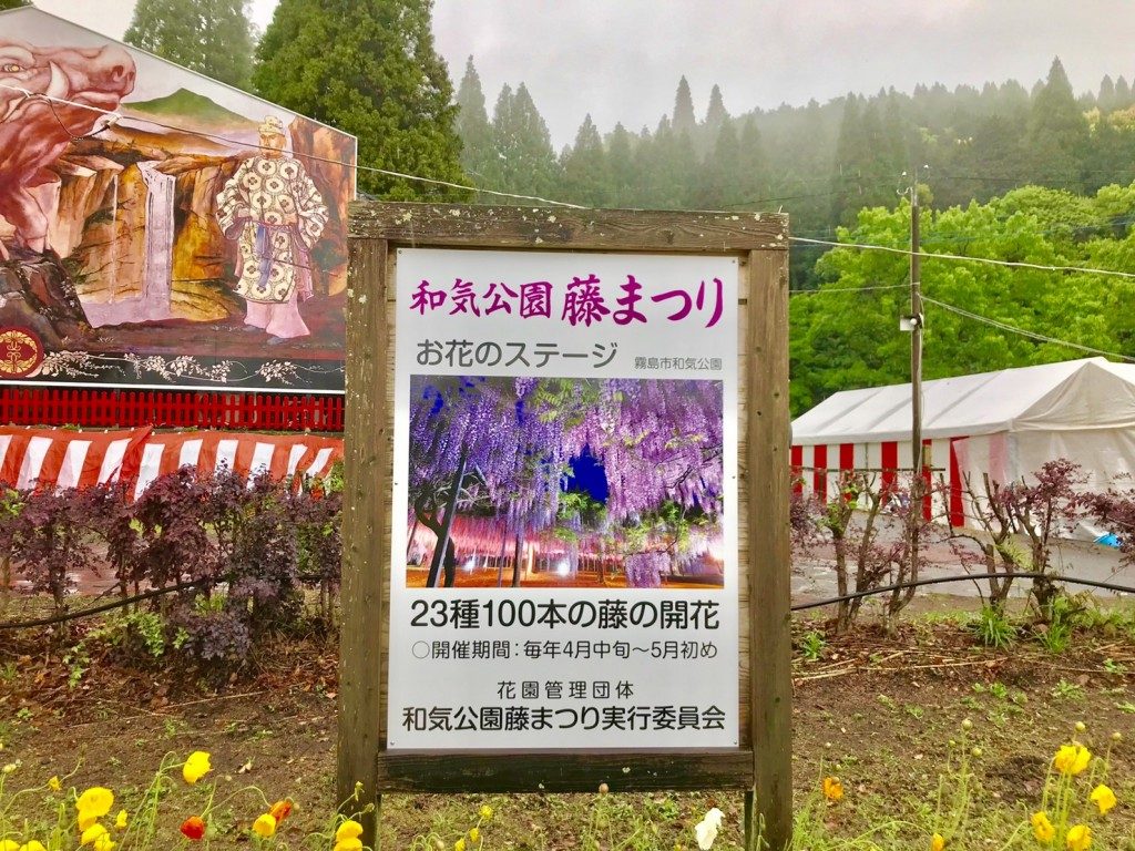 和気神社の藤まつり