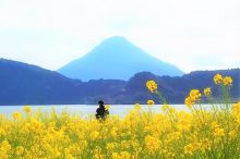 池田湖と開聞岳