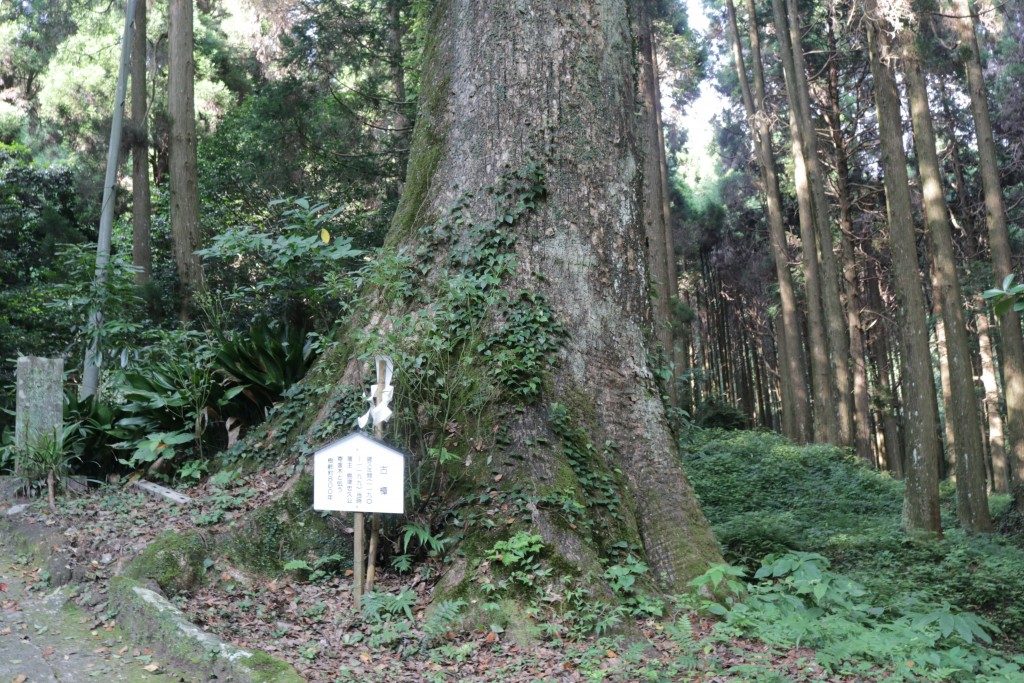 日枝神社（霧島市）