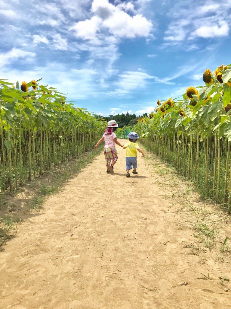 ひまわり（鹿児島市都市農業センター）