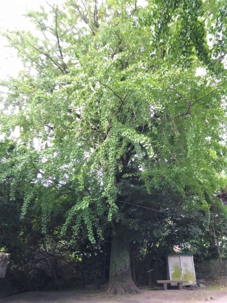 長田神社（鹿児島市）