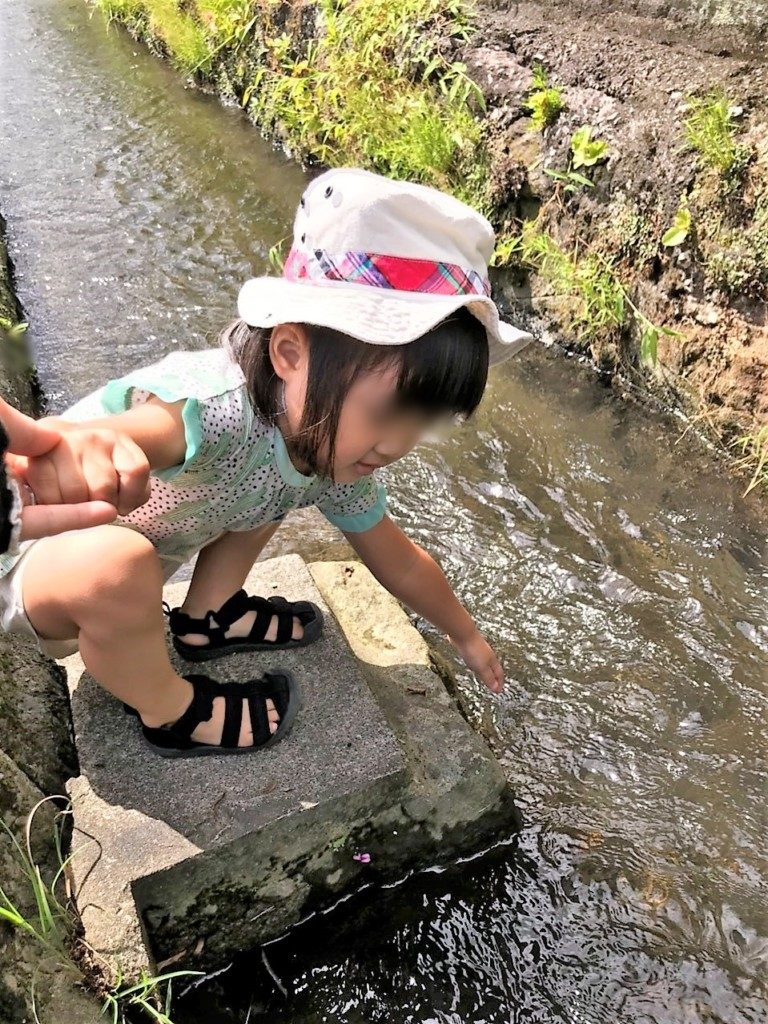 喜入旧麓の水路
