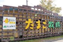 霧島たまご牧場