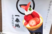 一番鶏クレープ手羽先餃子