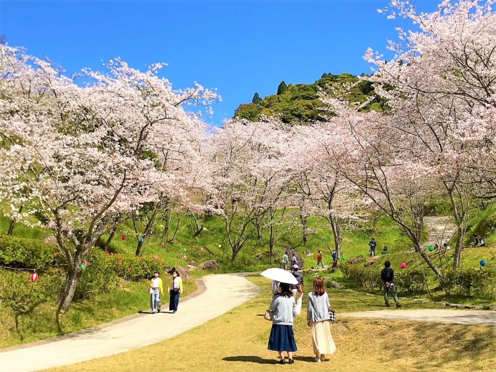 観音ヶ池公園