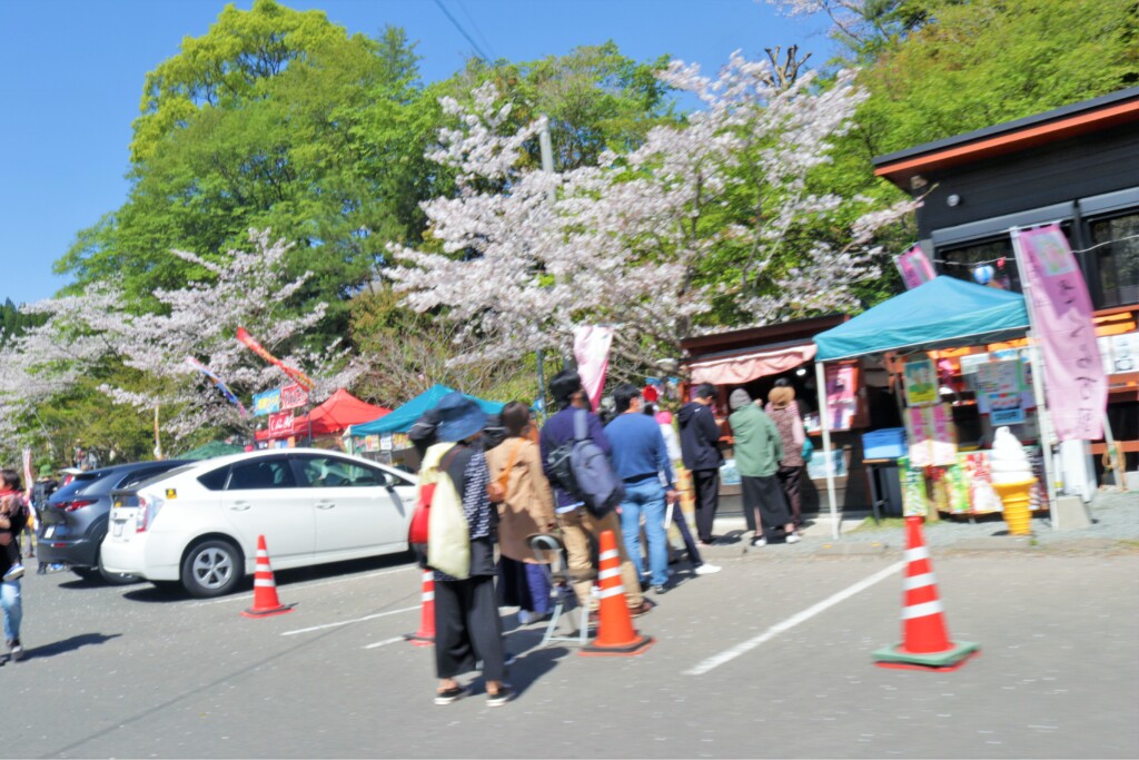 観音ヶ池公園の桜饅頭