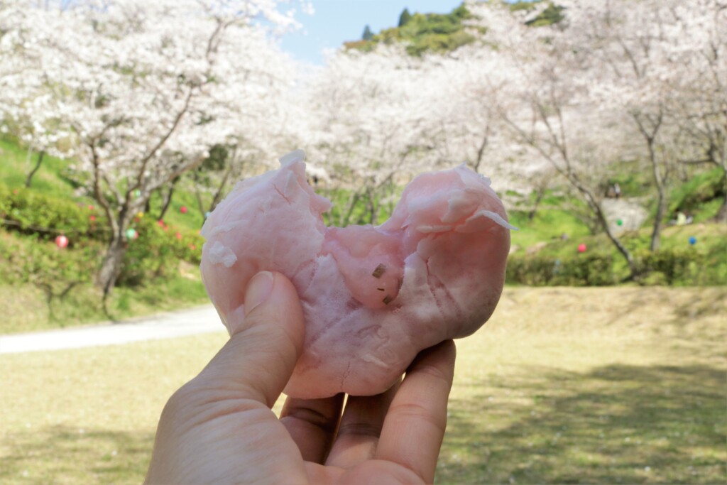 観音ヶ池桜饅頭