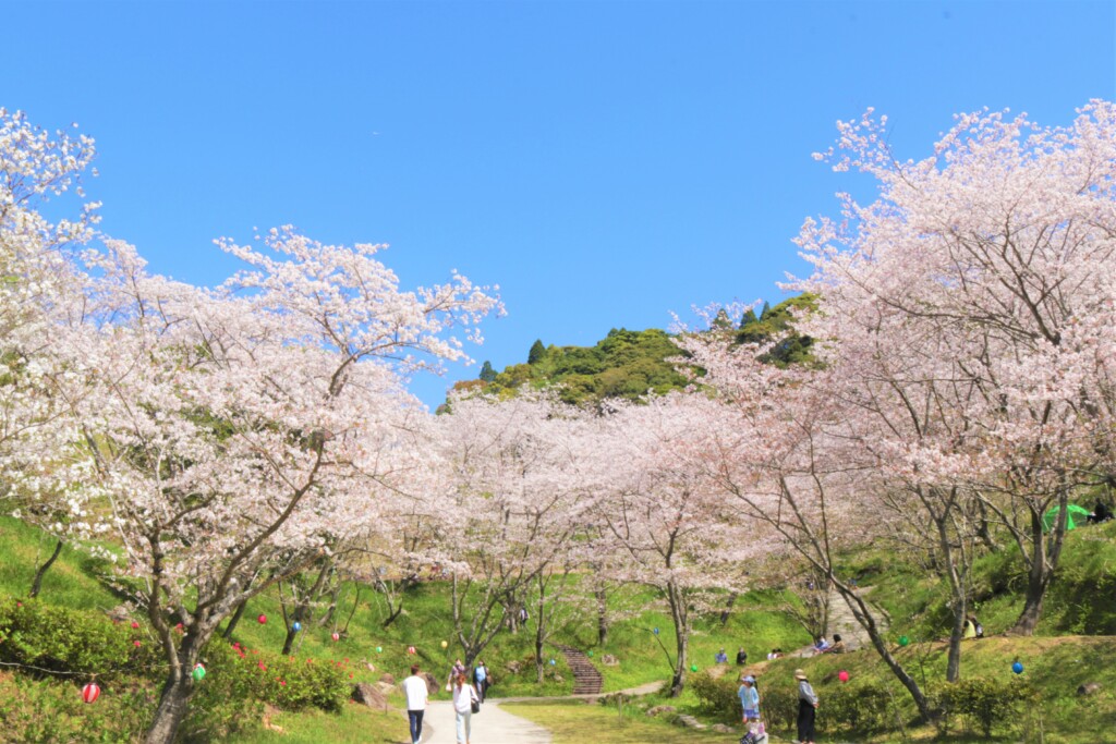 観音ヶ池公園