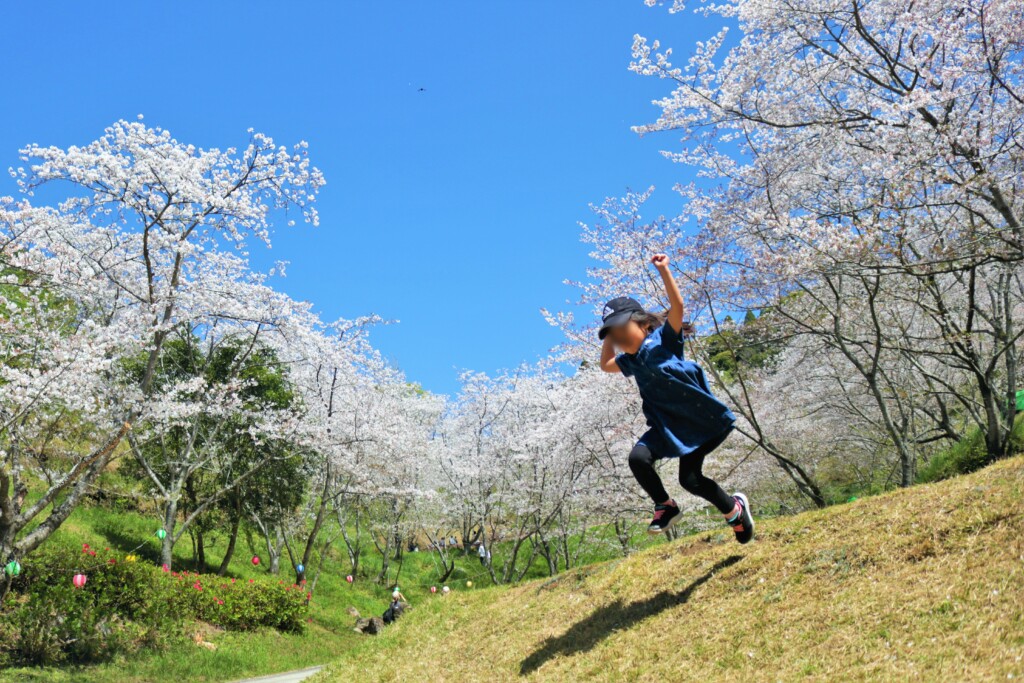 観音ヶ池公園