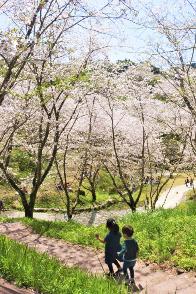 観音ヶ池