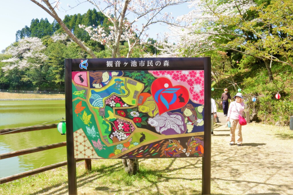 桜の名所 観音ヶ池公園 鹿児島県いちき串木野市 地元人おすすめ 鹿児島観光ガイド