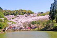観音ヶ池市民の森