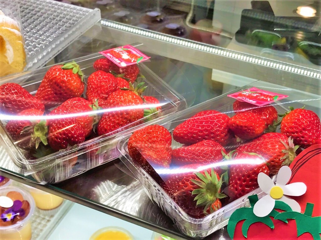 霧島さくらフルーツランド