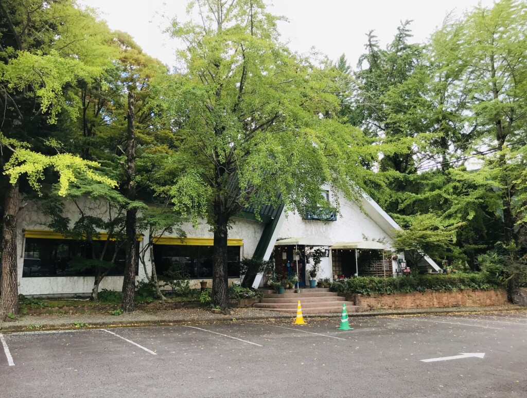 桜島ジェイコブスパイス