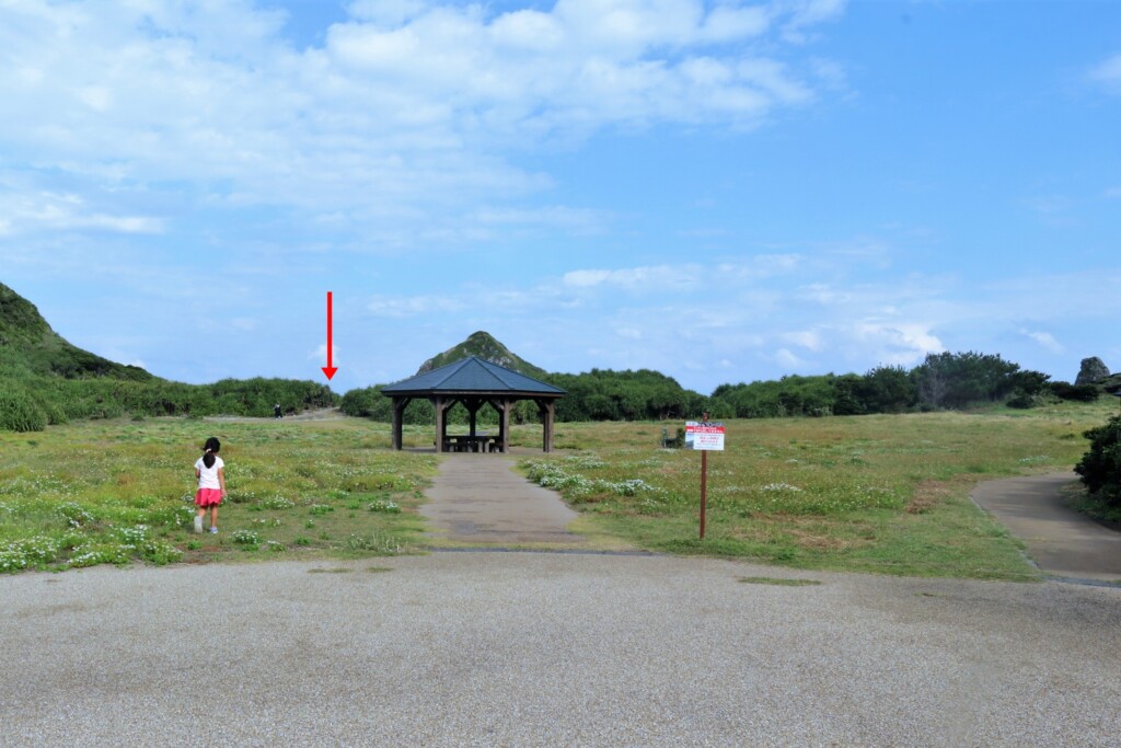 ホノホシ海岸