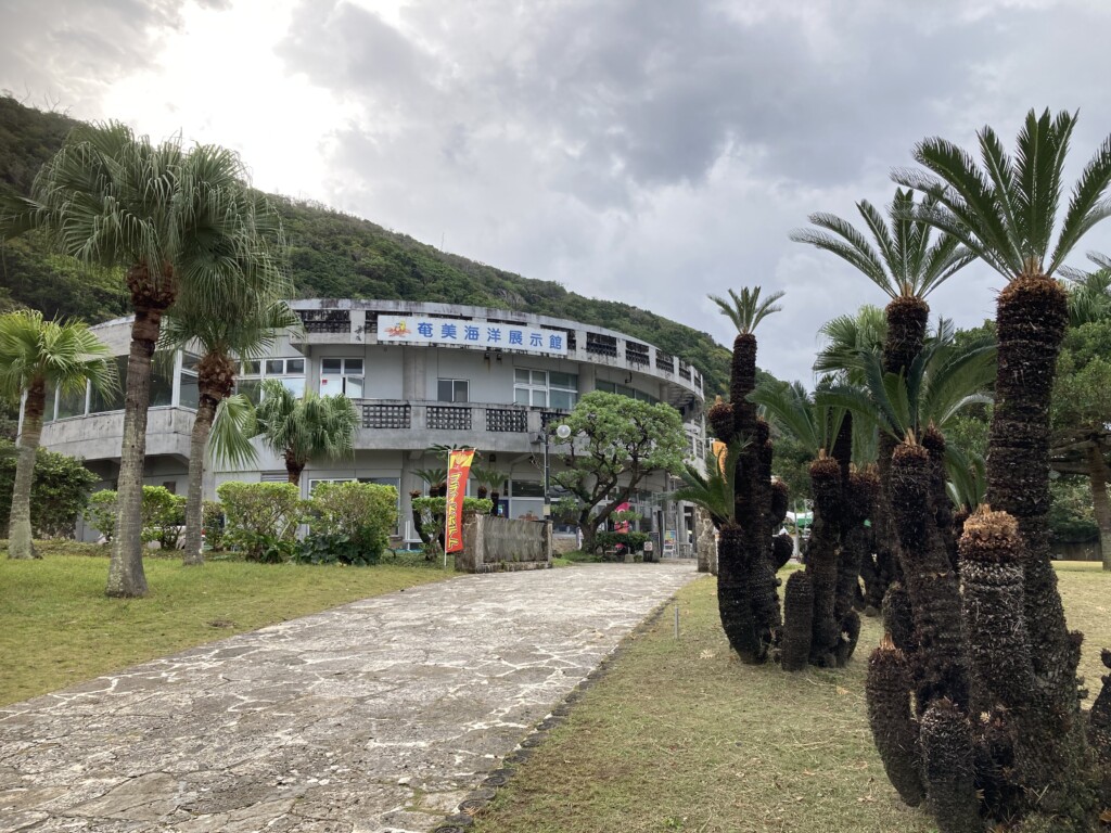 奄美海洋博物館