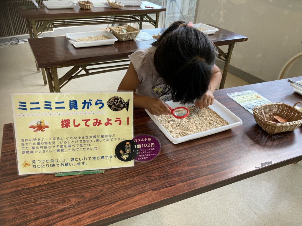 奄美海洋博物館