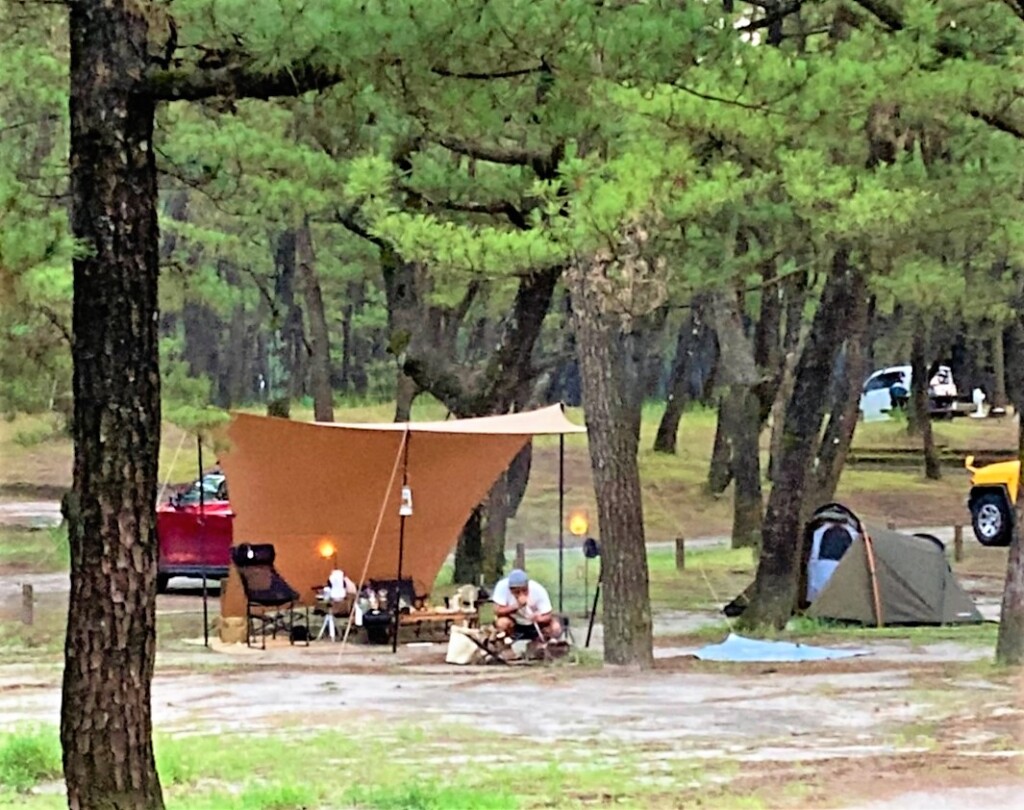 くにの松原キャンプ場