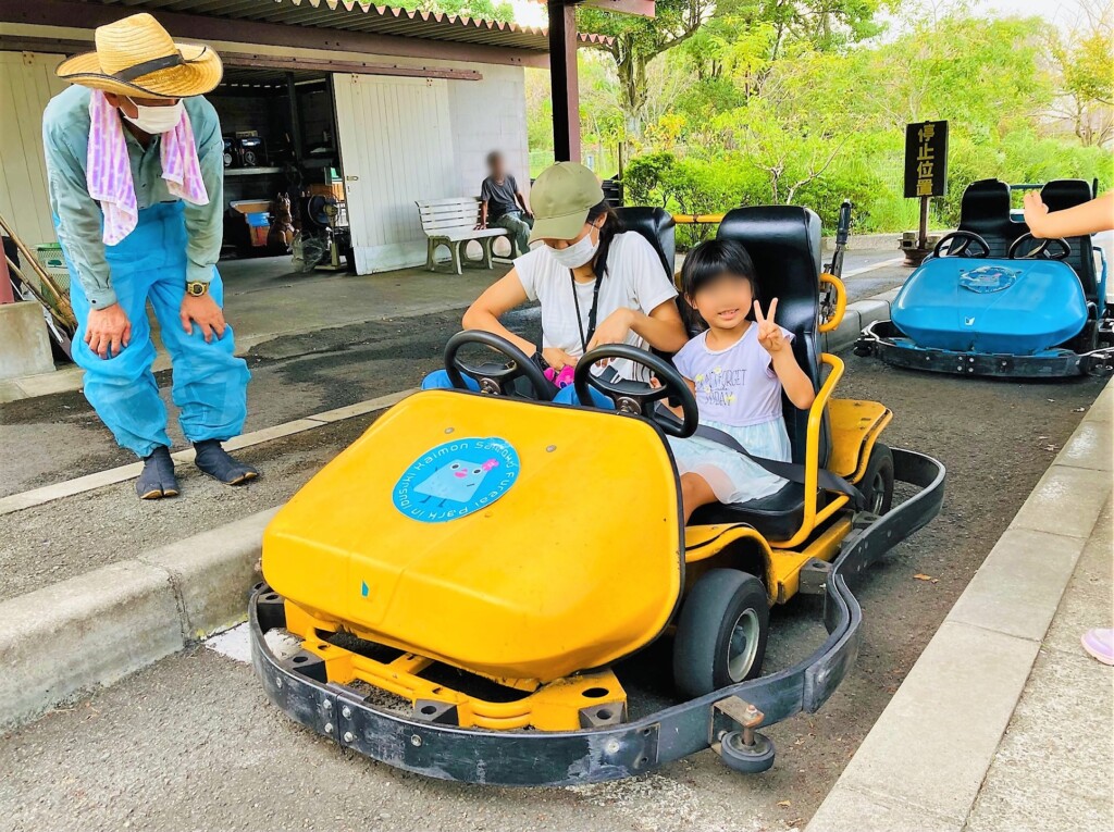 開聞山麓ふれあい公園のゴーカート