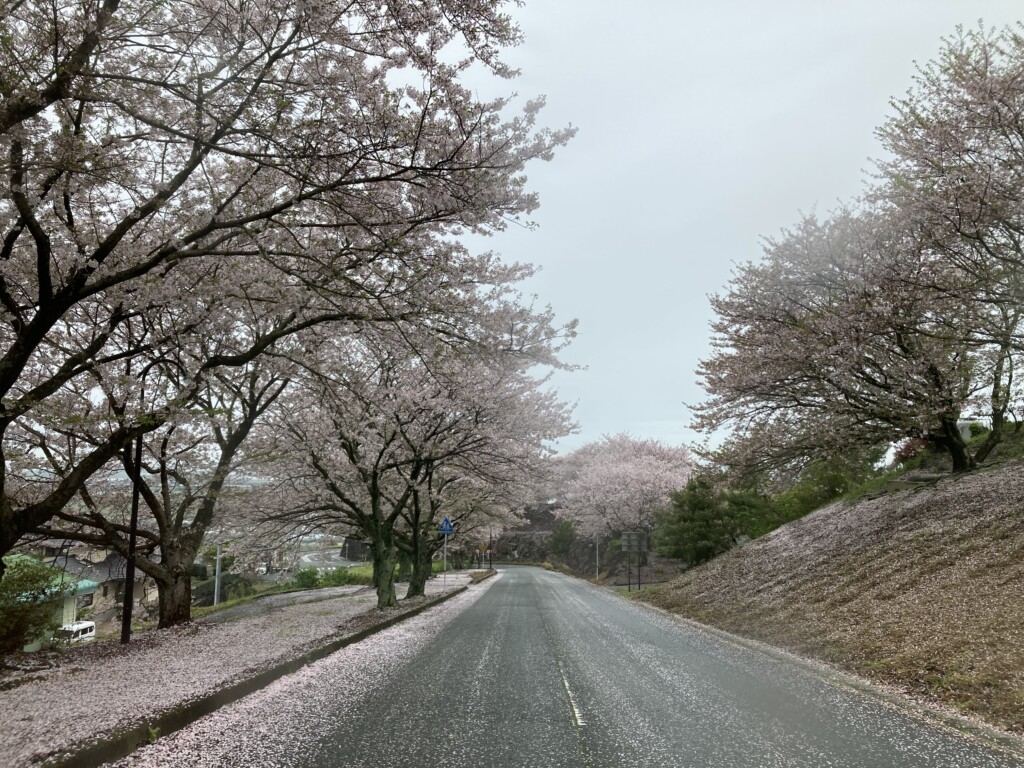 草枕温泉てんすい