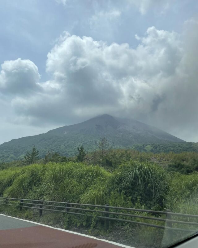 ⛰️🚐✨

活火山・桜島。
鹿児島のシンボルです✨

昔は登山もできていたそうですが、今はNG🙅‍♀️。
今　現在は観光バスや自家用車で、桜島北岳4合目にある湯之平展望所までなら行けます。

桜島観光と言えば、
溶岩や鳥居が埋没している黒神神社⛩️、溶岩なぎさ公園や垂水道の駅の足湯♨️が有名ですね😊

私も時々無性に桜島へ行きたくなりますが、その時には必ず『道の駅桜島火の島めぐみ館』に立ち寄り、桜島で作られた小みかんを加工したお菓子やソフトクリーム🍦をいただきます💕

小みかんソフトクリーム🍊は、
甘さの中に爽やかもあるので、
甘ったるいソフトクリームが苦手な私も1本ペロリ😋と食べられるんです🥰
あとね、
おすすめなのが、『桜島小みかん饅頭』！
鹿児島市内では手に入らないので、
道の駅桜島に行った時は必ず買います😍

饅頭の皮にも白餡にも小みかんが入っていて、
上品な仕上がりなんですよ✨

桜島観光の際は
ぜひ購入してみてくださいね😊

#鹿児島観光 #鹿児島 #鹿児島県 #かごしま #桜島 #桜島観光 #桜島おすすめ